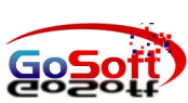 GoSoft Digital Data Solutions